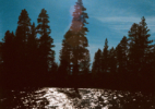Jude_emmett_026