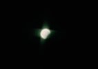 Jude_emmett_031