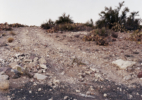 Kingman, AZ, 2007_3