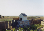 Doghouse #2