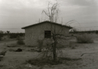 Dusk #10