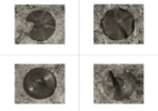 6_LP Quartet