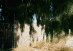 Fence w/ Deep Shade