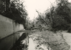 Arroyo Seco #10, 2015