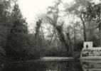 Arroyo Seco #8, 2015