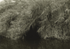 LA River_Glendale Narrows #18, 2015