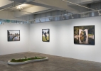 LUISOTTI-AM-INSTALL-02