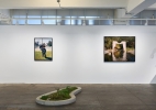 LUISOTTI-AM-INSTALL-03
